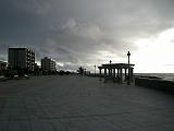 IMGP3247