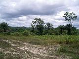 IMGP3269