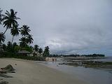 IMGP3291