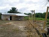 IMGP3423